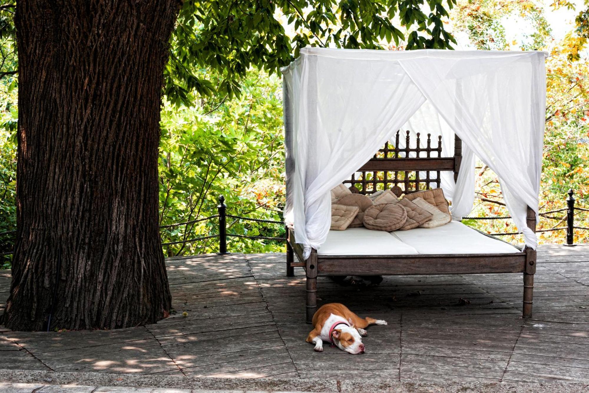 Chateau Cascara Mourésion Εξωτερικό φωτογραφία